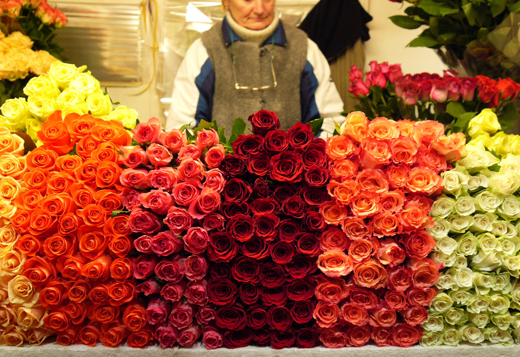 Где Купить Розы В Казани